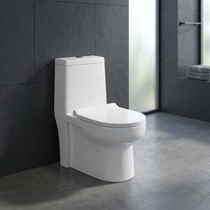 WC monobloc en céramique haut de gamme avec compatibilité S-trap et P-trap pour projets résidentiels - Product Image 5