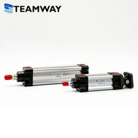 Cylindre pneumatique à piston standard TEAMWAY DN, alésage 32-100 mm, course 25-500 mm, en alliage d'aluminium, garantie 1 an pour Airtac SI
