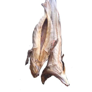 Alimento para Acuario de Peces Secos Enteros FD - Paquete al Vacío de 10 kg para Peces de Agua Dulce y Marinos (Bacalao y Anchoa) - Product Image 1