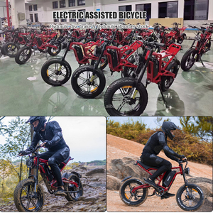 Diseño único de 500w <span class=keywords><strong>Bicicleta</strong></span> eléctrica de cercanías de 20 pulgadas neumáticos gordos de 48v suministro de energía de batería - Product Image 3