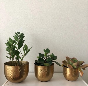 Pot de fleurs en métal gravé finition or, design décoratif, parfait pour la décoration de jardin, de balcon et d'angle, provenant d'Inde. - Product Image 5