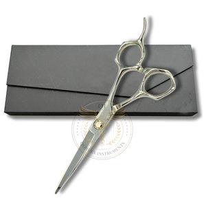 Tijeras Profesionales para Cortar Cabello de Acero Inoxidable, Tijeras de Peluquería de 6 Pulgadas con Caja de Regalo, Alta Precisión - Product Image 1