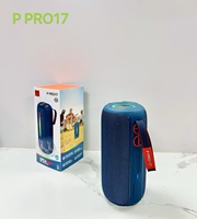 Système audio sans fil P PRO 17 20W avec basses profondes, son stéréo HiFi, caisson de basses, double radiateurs passifs, éclairage ambiant RGB, boîte audio portable