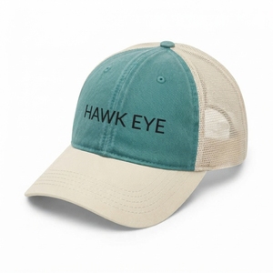 Casquettes de baseball brodées en gros, logo personnalisé, unisexe, streetwear, chapeau pour événements, casquette promotionnelle de sport en plein air - Product Image 3