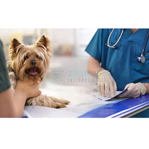 High Quality Mouth <b>Mirror</b> Dental Stainless Steel Mouth <b>Mirror</b> Professional Dental Tools Mouth <b>Mirror</b> - Product Image 5