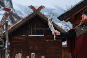 Authentique Corne à boire en corne de bœuf de qualité supérieure, polie, toucher réel, style animal, pièce de décoration pour événements historiques - Product Image 4