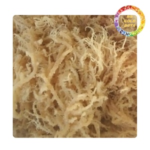 Musgo Marino Seco de Vietnam, Exportación a Granel, Superalimento Vegano Saludable |   Comida saludable - Product Image 3