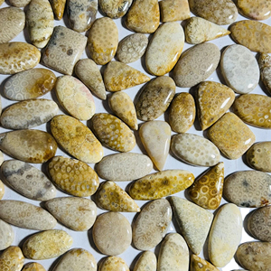 Cabochon de corail fossile agaté naturel, motif rare, pierre précieuse en vrac pour la fabrication de pendentifs, bagues et bijoux, lot de pierres à prix de gros - Product Image 1