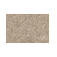 Carreaux de sol en pierre naturelle aspect gris biscuit pour extérieur/intérieur 600x600mm pour applications en cuisine, villa, centre commercial et jardin