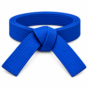 Cinturón de Judo y Karate Personalizado, Cinturón de Artes Marciales de Algodón Resistente con Costuras Reforzadas para Entrenamiento de Taekwondo - Product Image 5