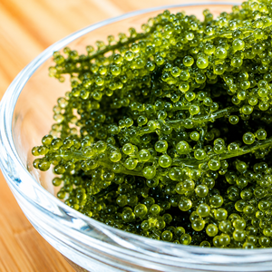 Uvas de Mar Frescas de Vietnam – Caviar Verde Natural con Textura Crujiente/ Sra. Alina - Product Image 4