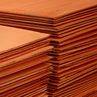 Cátodos de Cobre con una Pureza del 99.99% para Refinación de Metales y Procesamiento de Componentes Eléctricos, Material de Cobre Electrorefinado