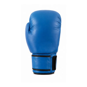 Guantes de Boxeo Profesionales Personalizados de Marca Privada, Transpirables, Antideslizantes, con Correa de Muñeca Ajustable y Cierre de Gancho y Bucle, Genuinos - Product Image 5