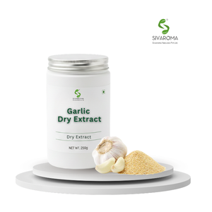 Finely Milled Garlic Dry <b>Extract</b> for Professional Culinary Application, Flavor Integration, Consistent Food Manufacturing Output - Product Image 1