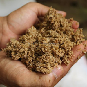 Grano Seco de Cerveza – Fuente Rentable de Proteína, Fibra y Energía para Alimentación Animal - Product Image 2
