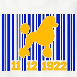 T-shirt à manches longues imprimé graphique Sigma Gamma Rho pour femmes, avec lettres grecques personnalisées, col rond décontracté, pull tendance et sportif - Product Image 3