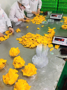 มะม่วงอบแห้งพรีเมียมเวียดนาม รสหวานธรรม<span class=keywords><strong>ช</strong></span>าติ เนื้อนุ่ม เคี้ยวเพลิน ผลไม้เมืองร้อน ขนมขบเคี้ยว ขายส่งสำหรับผู้นำเข้าทั่วโลก - Product Image 6