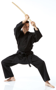 Latest Design Custom Color Karate Uniform Martial Arts Wear for Training & Competition For Fighting Wear Karate Uniform - Product Image 4