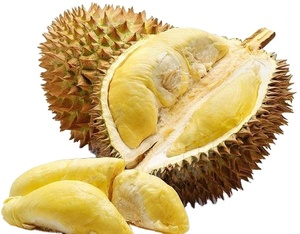 ทุเรียนสดขายดีจากเวียดนาม: คุณภาพดีที่สุดในราคาต่ำสุด - Product Image 1