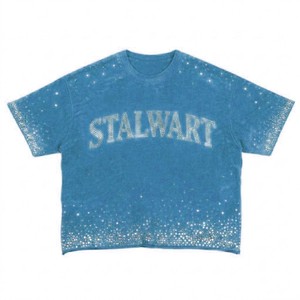 เสื้อยืดพิมพ์ลายกราฟิกประดับคริสตัล แบรนด์ Stalwart ทรงโอเวอร์ไซส์ แขนสั้น คอโอ ผ้าถัก สำหรับผู้ชาย ความยาวปกติ สไตล์ทางการ - Product Image 3