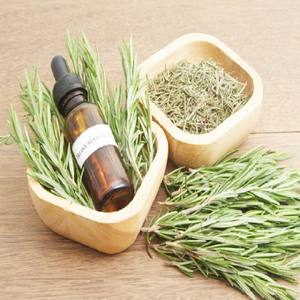 Bulk Supplier of Rosmarinus Officinalis Essential <b>Oil</b> in India Manufactured by Gingerly <b>Naturals</b> - Product Image 5