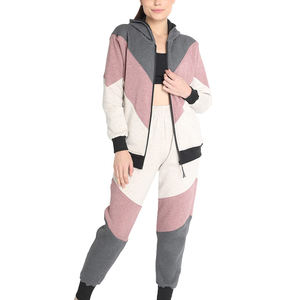 Conjunto Deportivo de 2 Piezas para Mujer, Talla Grande, Informal, Transpirable, con Capucha, para Entrenamiento, Invierno, Estilo Urbano, Venta al Por Mayor - Product Image 1