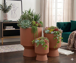 Maceta de Hierro con Recubrimiento en Polvo, Duradera, Multiusos, para Interiores, con Drenaje - Product Image 1