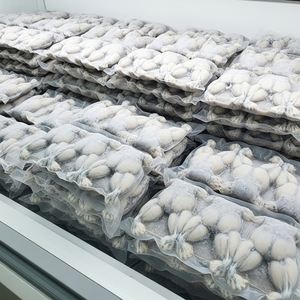 ขาคางคกแช่แข็งคุณภาพสูง เนื้อสดและดีต่อสุขภาพ บรรจุสำหรับขายส่งและส่งออก - Product Image 4