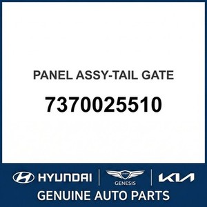 Accent New Liftgates 7370025510 - Product Image 1