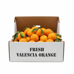Jeruk Valencia Segar Hasil Panen Premium Orchard Memberikan Pengalaman Rasa Segar Citrus Aroma Kaya Kulit Halus Dan Alami