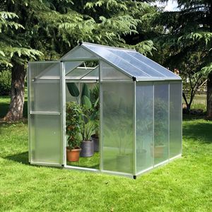 Serra in Policarbonato 6FT X 6FT con Ventilazione sul Tetto, Serra da Giardino per Hobby con Grondaia, Adatta anche per l'Uso Invernale - Product Image 2