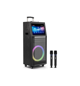 Sistema de Karaoke Personalizado de Fábrica, Máquina de Karaoke Portátil con Altavoz de 10 Pulgadas, Micrófono Inalámbrico Dual, Bluetooth, Venta al por Mayor - Product Image 3