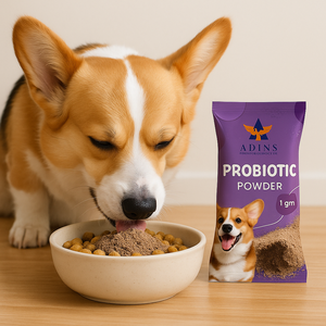 OEM ODM Etiqueta Privada enzimas digestivas y probióticos en polvo para el bienestar intestinal suplemento de cuidado de la salud de mascotas para perros y gatos - Product Image 5