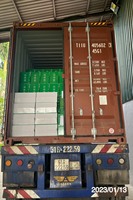Noix de cajou entièrement certifiées W240 W320 W450 Noix de cajou entières séchées du fabricant vietnamien + 84359313086