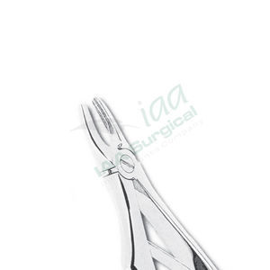 Pinzas Witzel para Fragmentos de Raíz para Extracción Dental – Acero Inoxidable de Grado Quirúrgico - Product Image 4