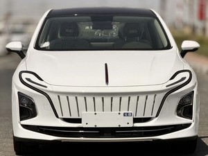 HO NGQ I E QM 5 HO NG QI E-Q M5  COCHE ELÉCTRICO DE CUATRO RUEDAS - Product Image 6