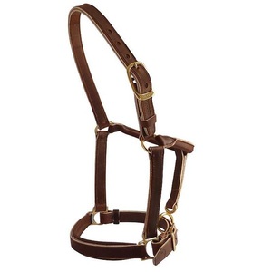 Cabestro de cuero genuino para caballo, negro, marrón, tostado, de doble capa, grueso, con herrajes de latón, tamaños personalizados - Product Image 1