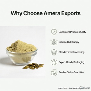 Factory Supply Food Grade Organic Pumpkin Seed <b>Extract</b> 70% Protein Powder Herbal Vitamin Supplement in Bottle or Can Packaging - Product Image 5