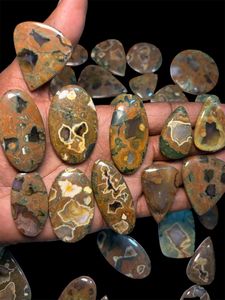 Cabujón de Jaspe Rhyolita Natural Pulido, Gema de Jaspe Rhyolita en Formas Mixtas para Fabricación - Product Image 4