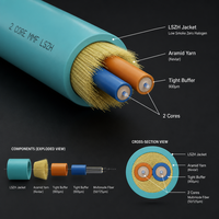Câble à fibres optiques intérieur HEADWAY FCS-DSLN-3M002-AQ 2 fibres OM4 LSZH PVC pour centre de données et câblage de réseau local (LAN)