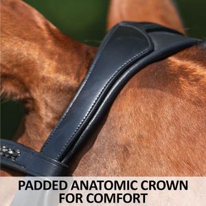 Brida de cuero para caballo con tela brillante, hebilla S.S., logotipo y colores personalizados - Product Image 3
