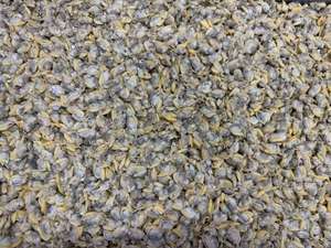 Mariscos Congelados Competitivos, Carne de Almeja Sangrienta IQF LQF HUANGDA, Empaque Personalizable, 24 Meses de Vida Útil, 120-160 Unidades, Origen Fujian - Product Image 6