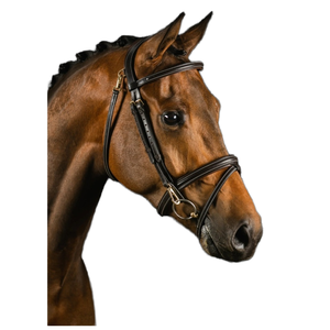 Pengiring berkuda coklat tua dengan kulit celup sayuran hitam & perangkat keras kuningan pengiring kuda - Product Image 1