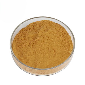 Extrait de kaki de qualité supérieure 10:1 en poudre, ingrédient naturel d'extrait de fruit, poudre d'extrait de kaki en vrac, matière première en gros - Product Image 4