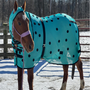 Couverture magnétique pour chevaux de qualité supérieure, tapis magnétique pour chevaux, idéal comme couverture anti-mouches - Product Image 4