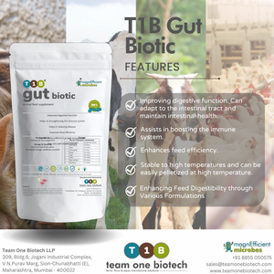 Los probióticos para ganado mejoran la absorción de nutrientes - Product Image 2
