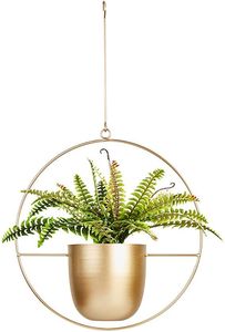 Metal Hanging Planters with POT 6" Indoor Planters - Product Image 6