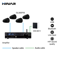 Sistem Speaker Gantung IP66 6,5 Inci Subwoofer Aktif 10 Inci Amplifier Kelas D USB Audio Komersial
