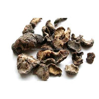 Phyllanthus Smblica, Amla indienne séchée, poudre de thé, herbes brutes, CareQue, aliments santé, vente en gros, extrait végétal, produit à base de plantes