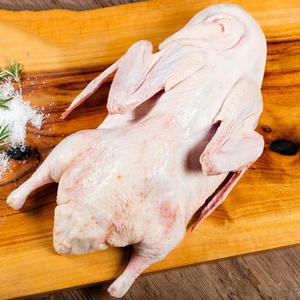 Affordable Export Grade Halal Frozen <b>Duck</b> Fresh <b>Duck</b> Meat Available Worldwide - Product Image 2